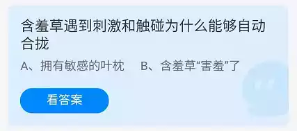 含羞草遇到刺激和触碰为什么能够自动合拢 蚂蚁庄园2021年11月22日答案介绍