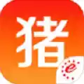 猪易网app