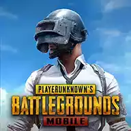 pubgmobile.com官网 图标