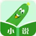 丝瓜小说最新版安卓app 图标