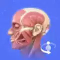 3dbody解剖学手机版国产免费