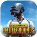 pubg国际服地铁逃生免费 图标