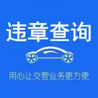 123交管网违章查询