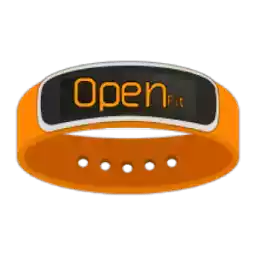 gear fit manager 1.78