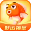 好运福星app