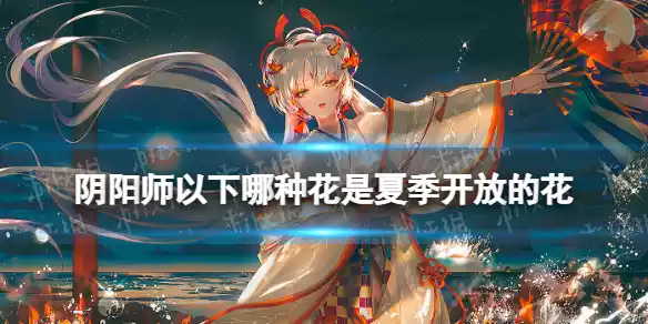 阴阳师夏天开的花 仲夏凉行答题答案
