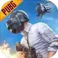 PUBG地铁逃生国际服官方 图标