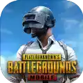 PUBGmobile 官方网站